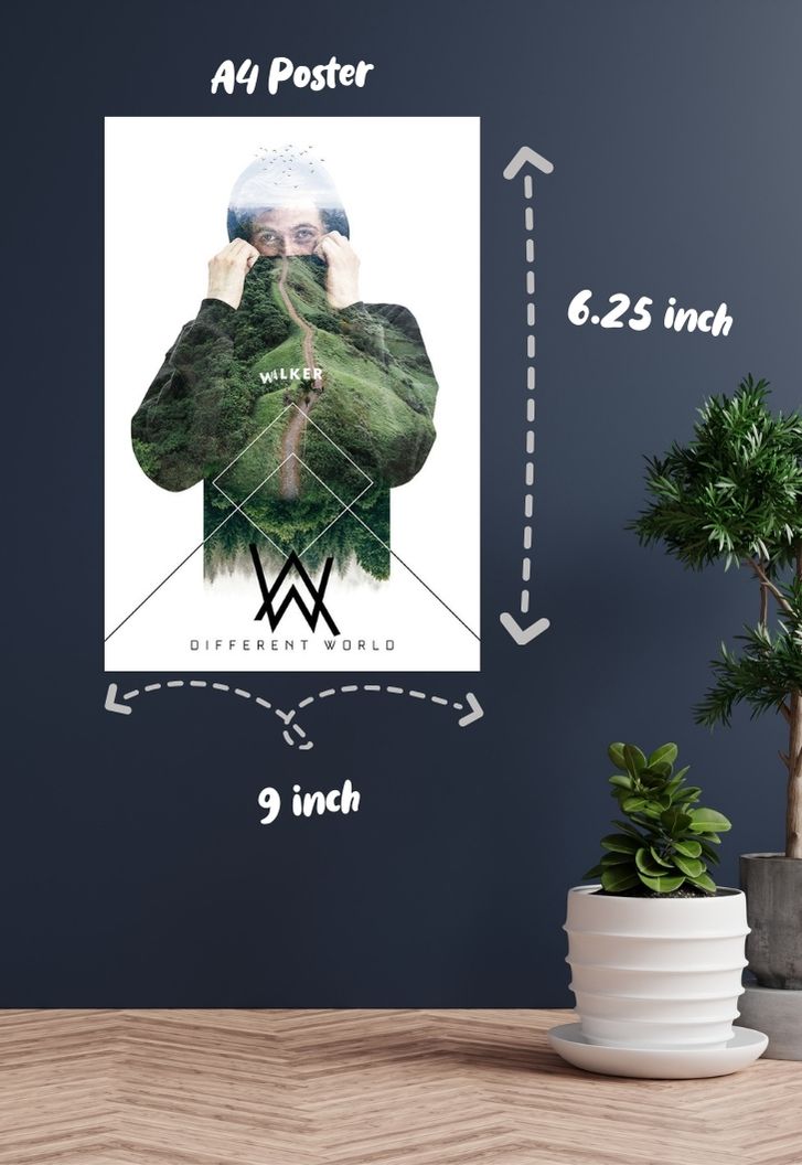Alan Walker Poster