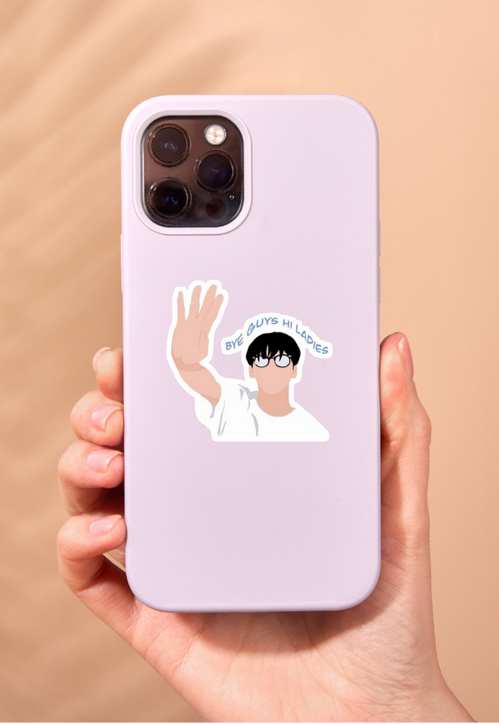 Soobin Bye Guys, Hi Ladies Sticker