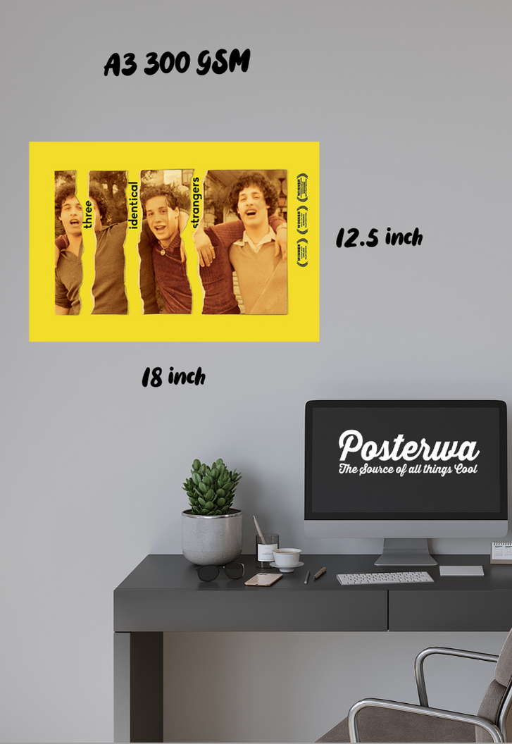 Three Identical Strangers Poster