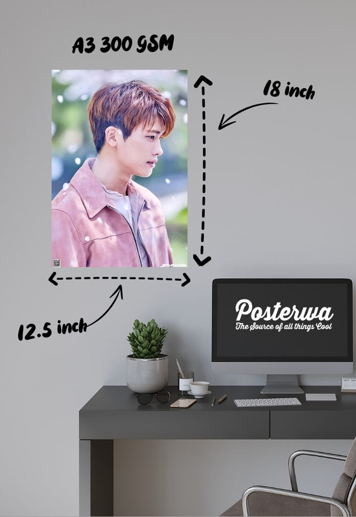 Park Hyung Sik Poster