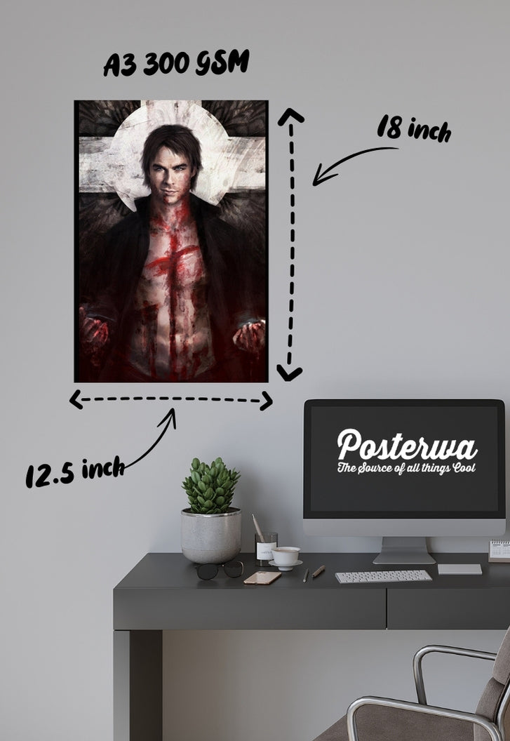 The Vampire Dairies Damon Poster
