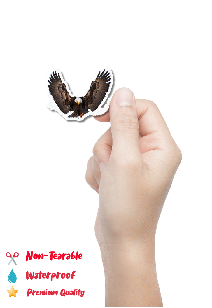 Bald Eagle Transparent Sticker