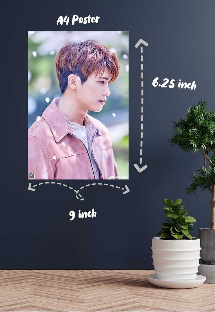 Hyung Sik Poster