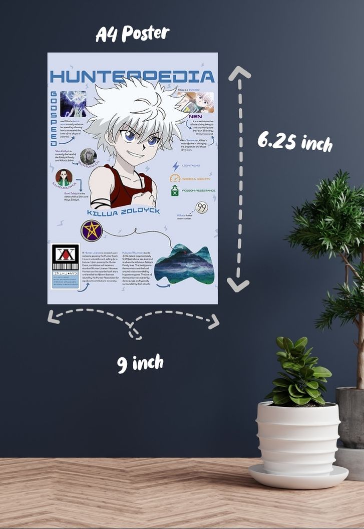 hxh Killua Zoldyck Poster