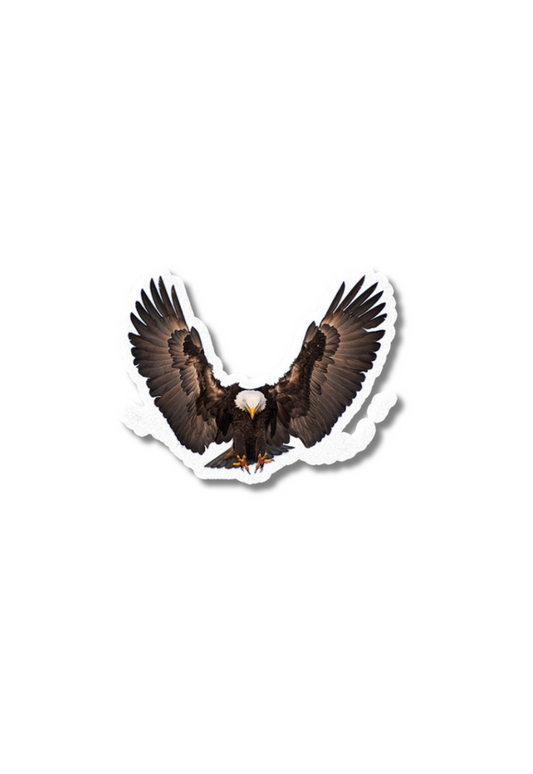 Bald Eagle Transparent Sticker