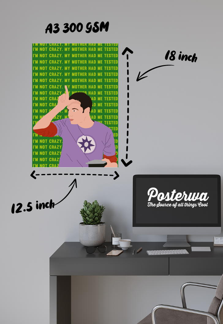 Tested Sanity | Big Bang Theory | Sitcom Poster