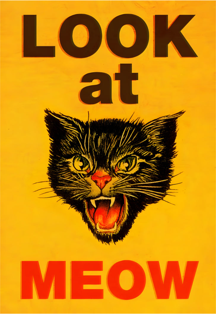 Look At Meow Poster