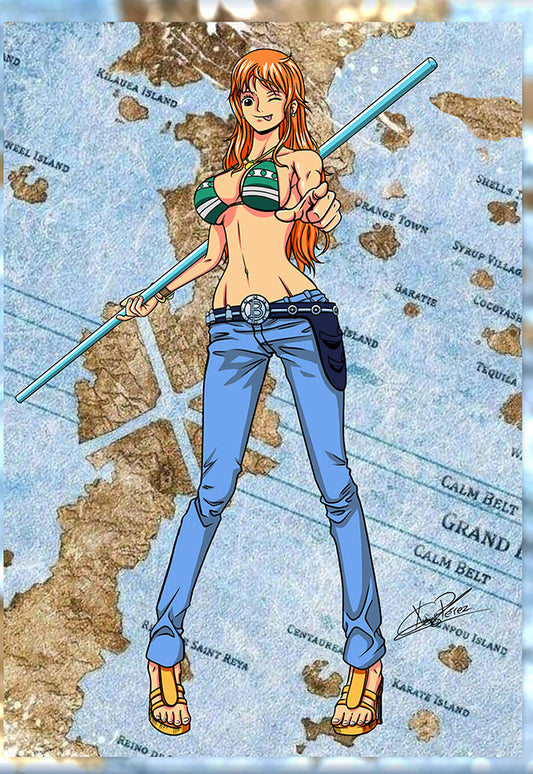 Navigator Nami Poster