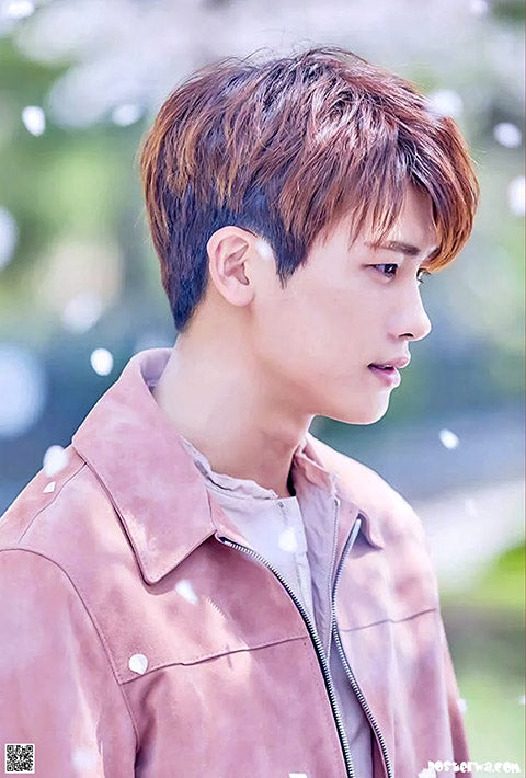 Park Hyung Sik Poster