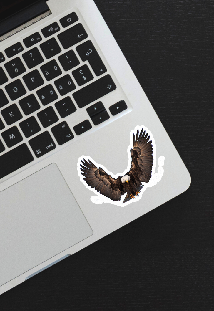 Bald Eagle Transparent Sticker