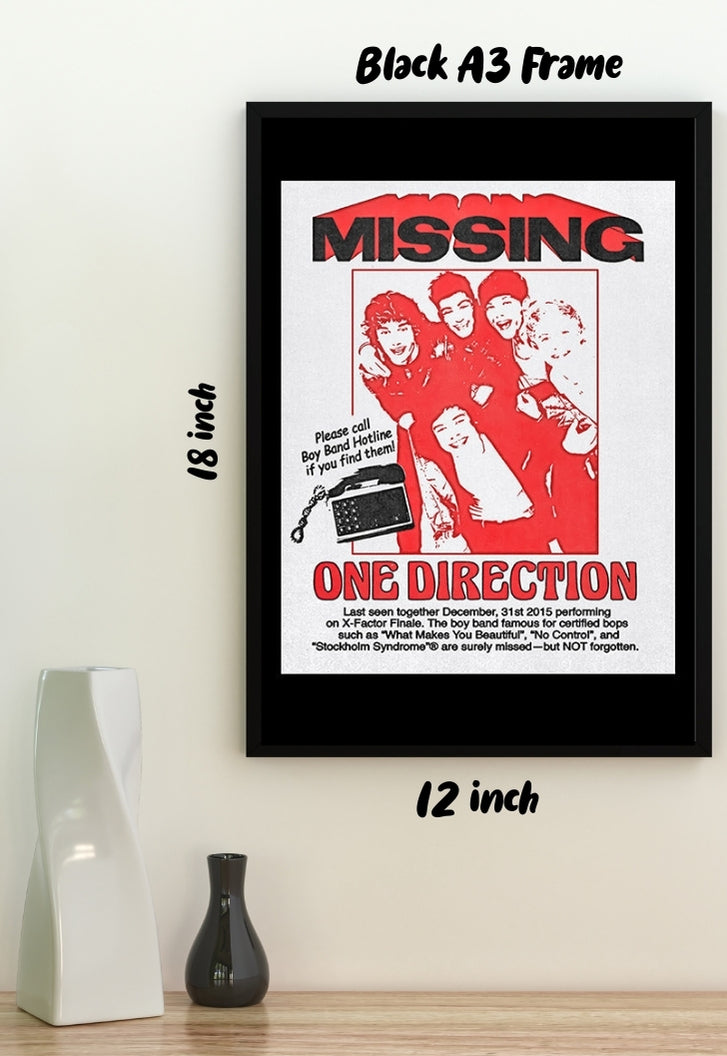 One Direction Missing Poster