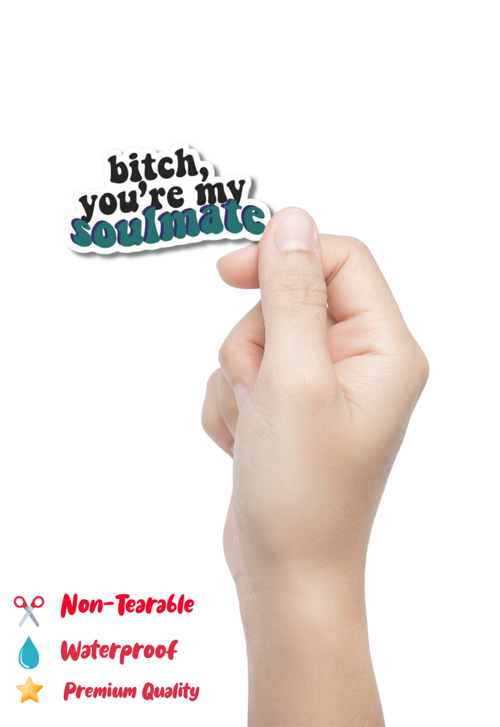 Bi*ch You're My Soulmate Sticker