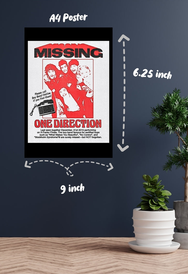 One Direction Missing Poster