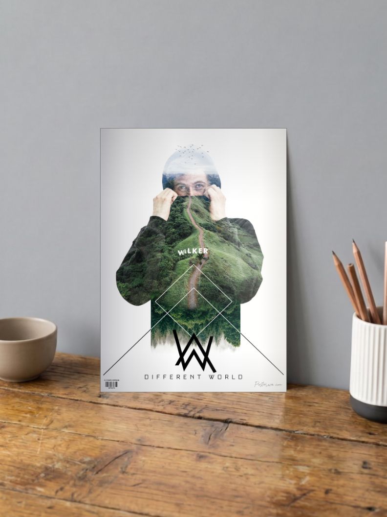 Alan Walker Poster