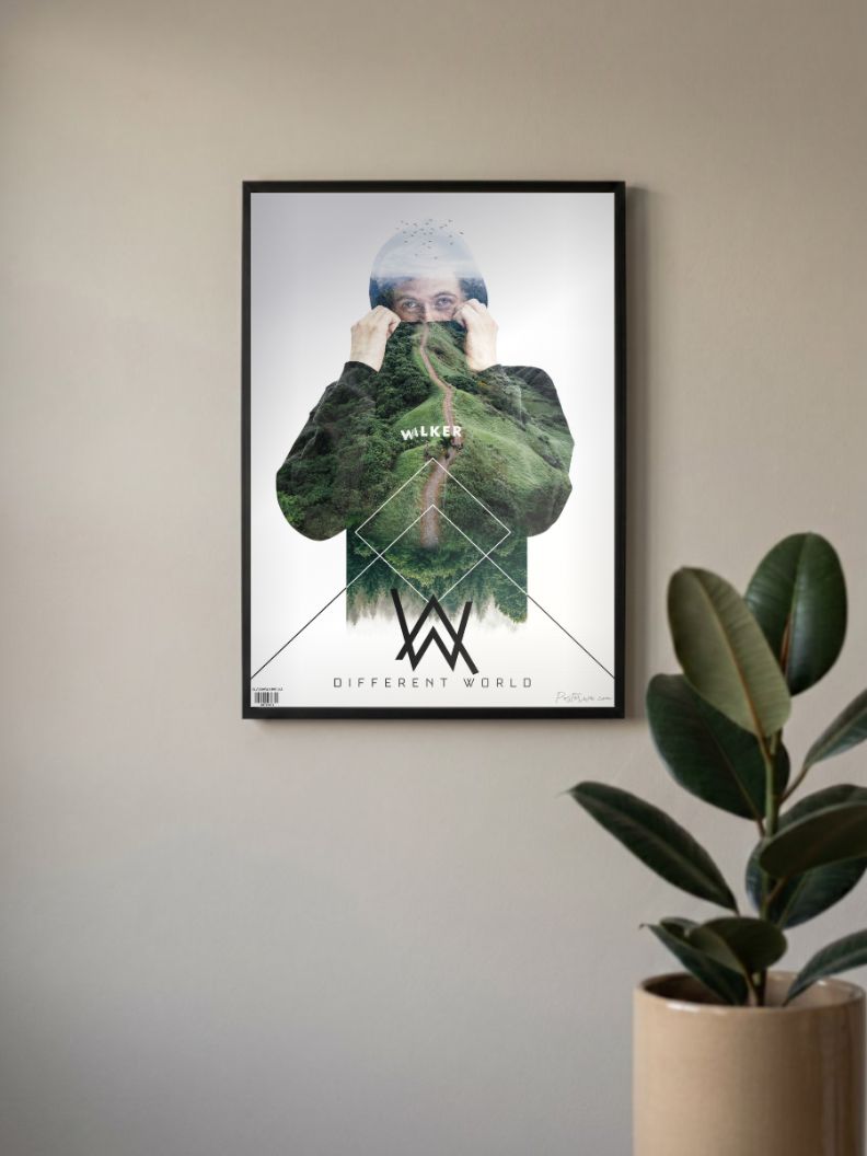Alan Walker Poster