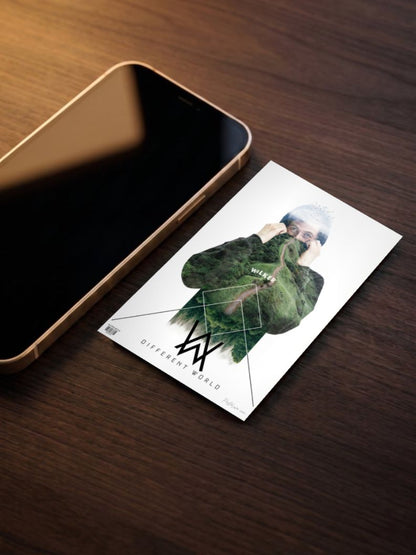Alan Walker Poster