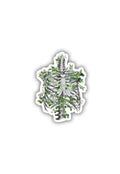 Ribcage Anatomy Sticker
