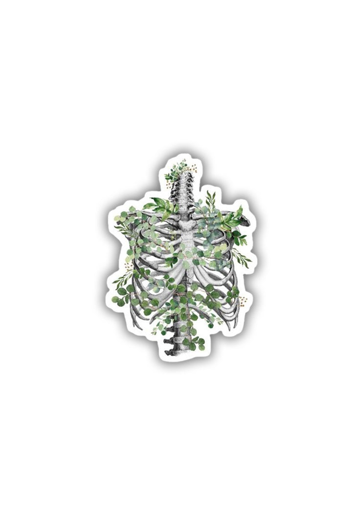 Ribcage Anatomy Sticker