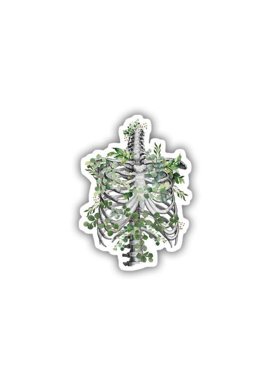 Ribcage Anatomy Sticker