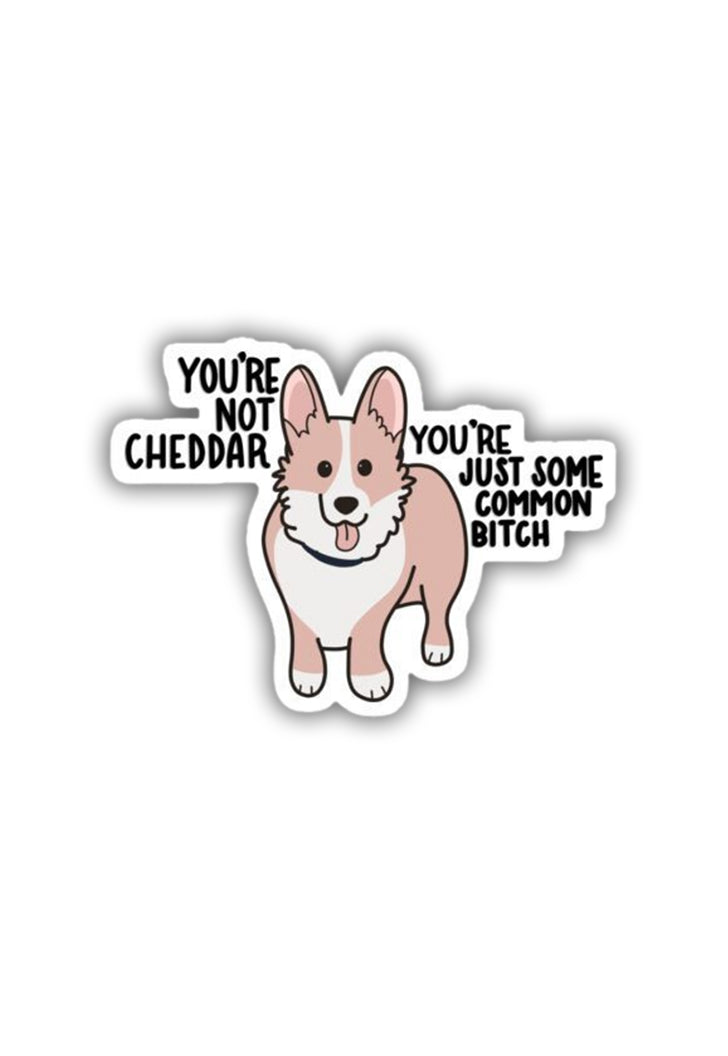 You're Not Cheddar - B99 Sticker