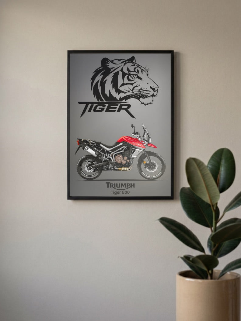Hinckley Hero Triumph Tiger 800 Bikes Poster