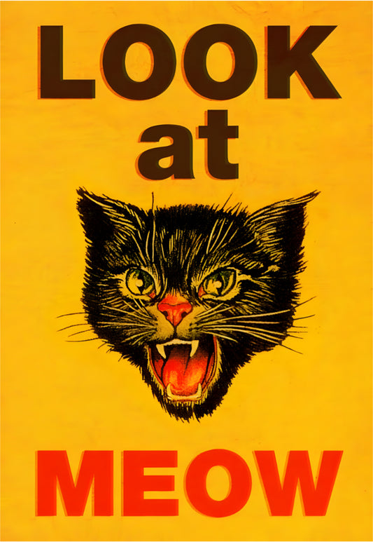 Look At Meow Poster
