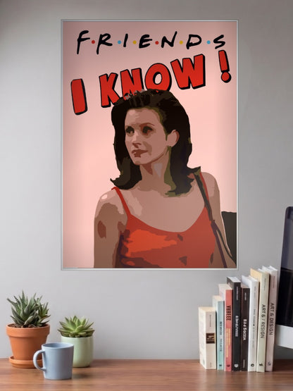 Monica Geller Friends Sitcom Poster