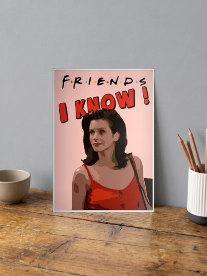 Monica Geller Friends Sitcom Poster