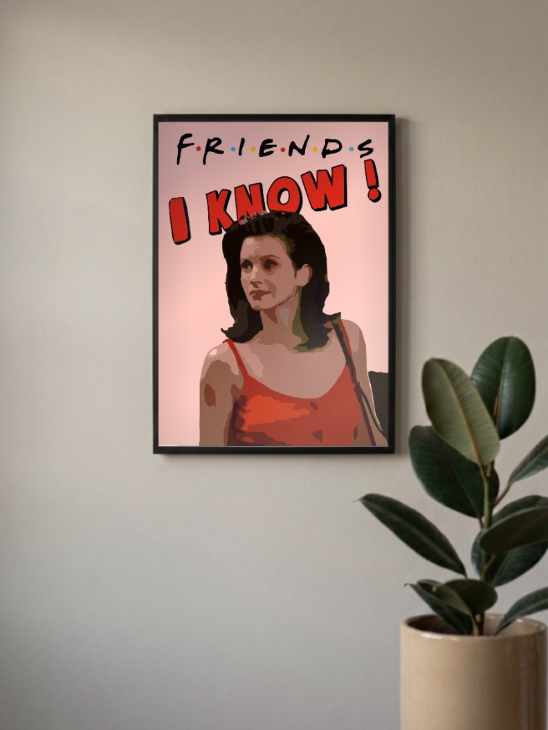 Monica Geller Friends Sitcom Poster