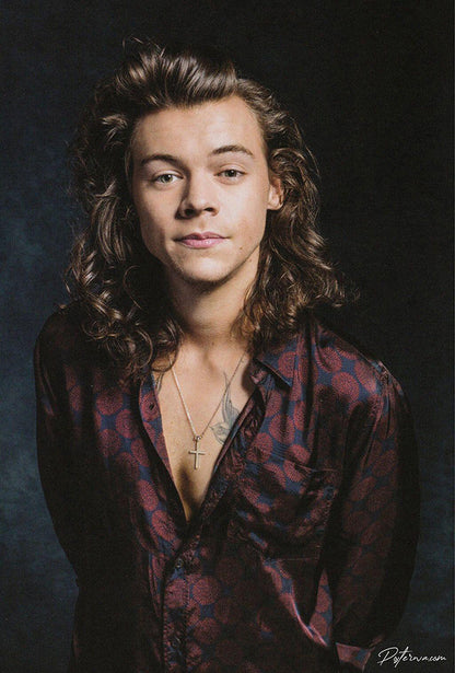 One Direction Harry Styles Poster