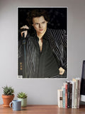 Harry Styles Poster