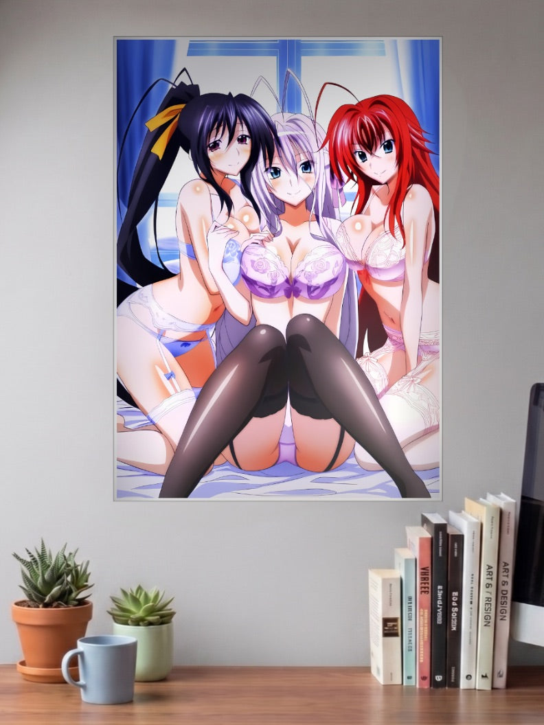 Rias And Akeno High School DxD Anime Poster