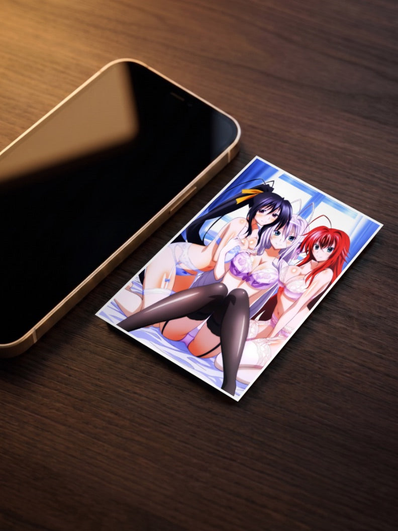 Rias And Akeno High School DxD Anime Poster