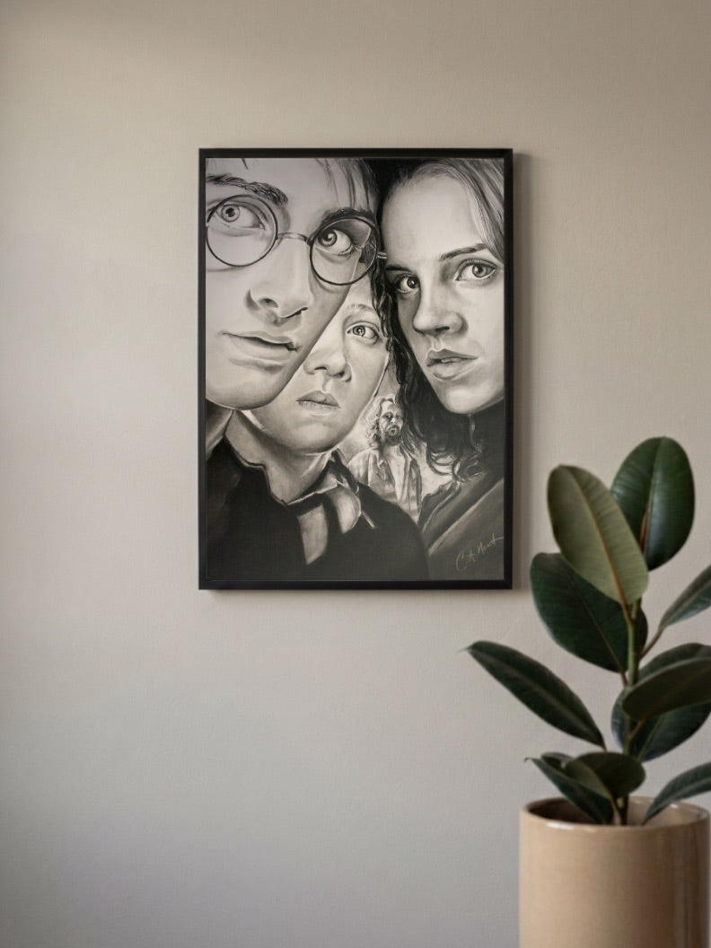 Harry Ron Hermione Sirius Hollywood Movie Poster