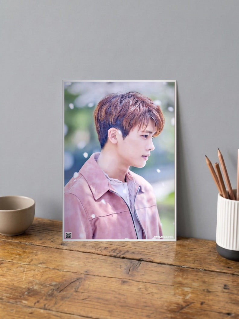 Park Hyung Sik Poster