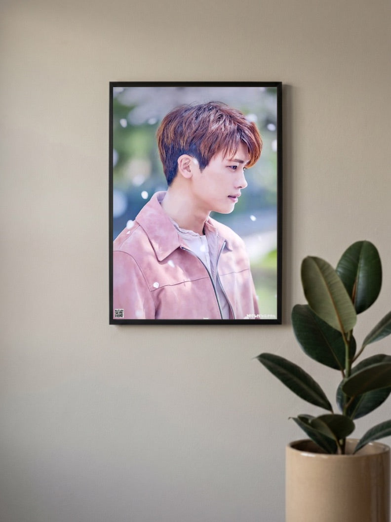 Park Hyung Sik Poster