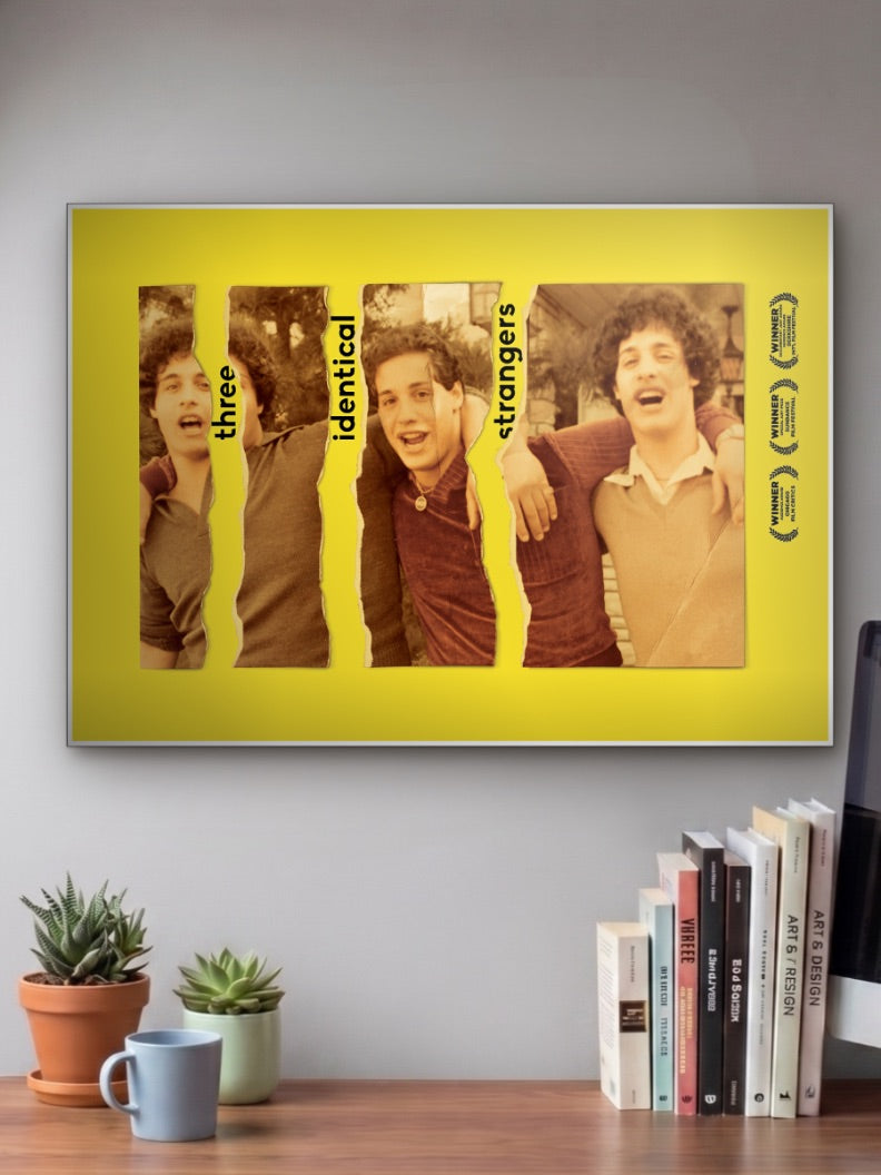 Three Identical Strangers Poster