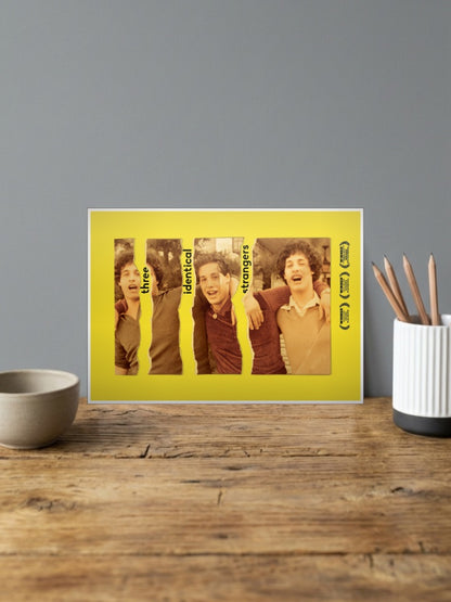 Three Identical Strangers Poster