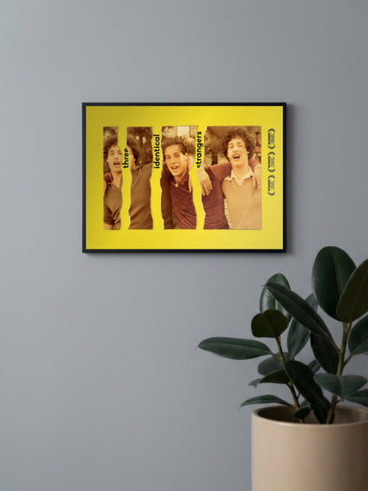 Three Identical Strangers Poster