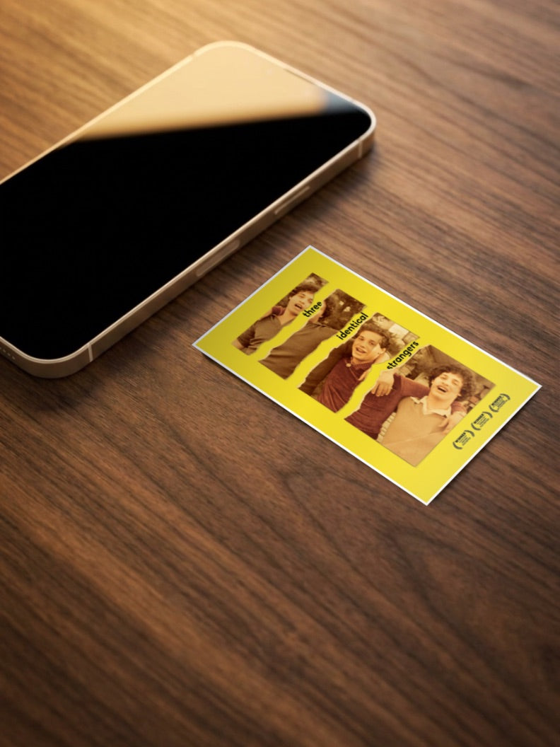 Three Identical Strangers Poster