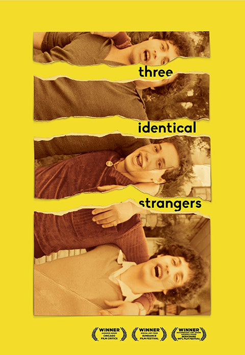 Three Identical Strangers Poster