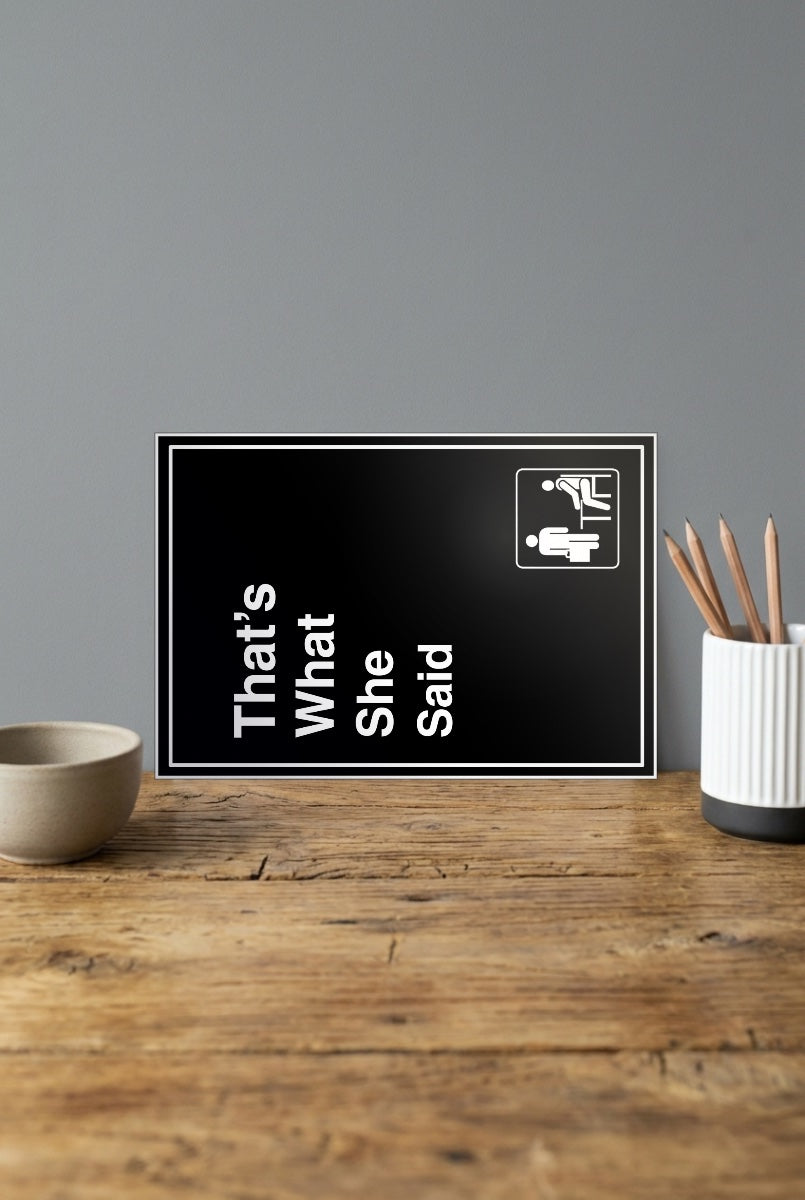 Thats What She Said Sitcom Poster