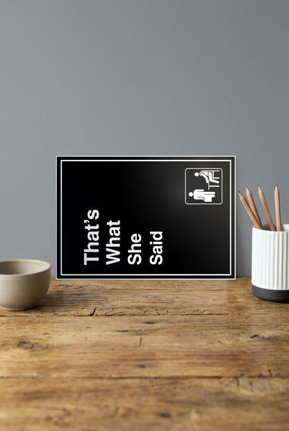 Thats What She Said Sitcom Poster