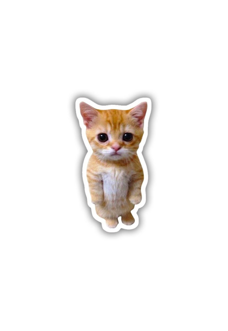 Munchkin Cat Sticker