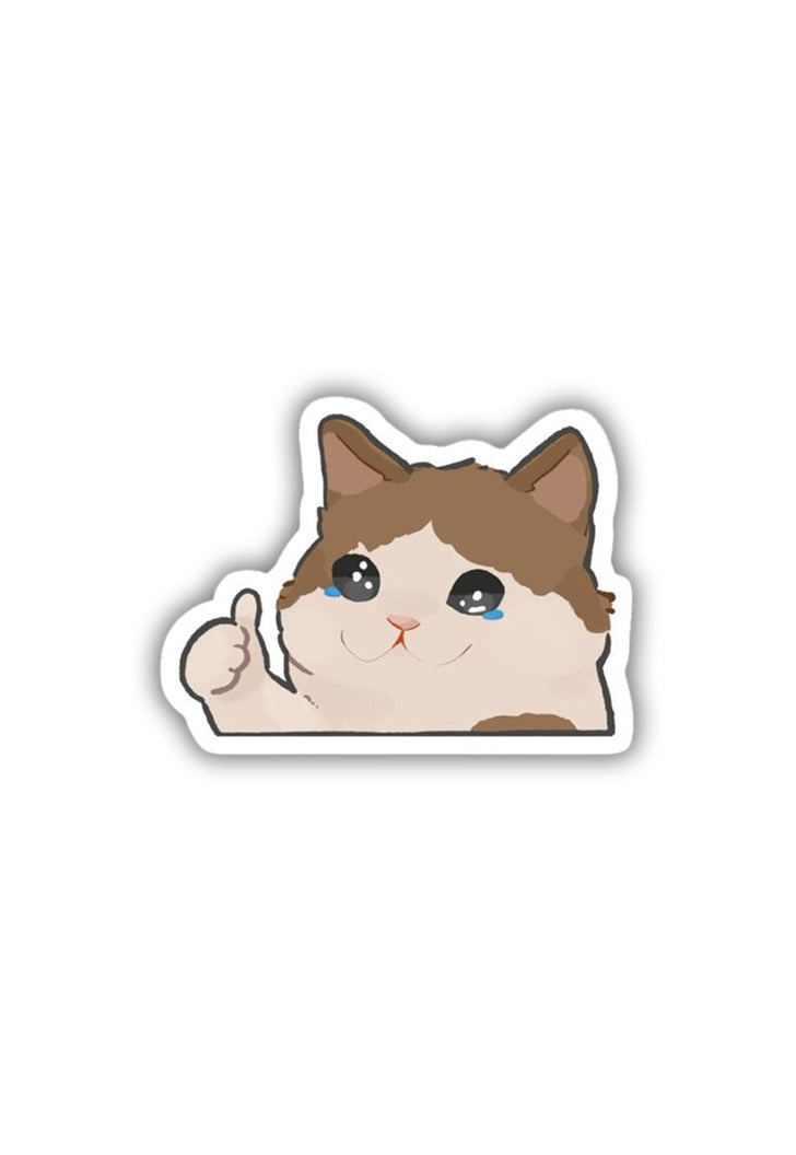 Crying-thumbs up Cat Meme Sticker – Posterwa