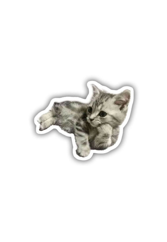 Munchkin Cat Sticker