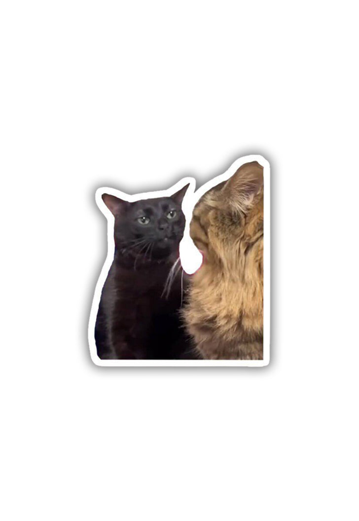 Cat Meme Sticker