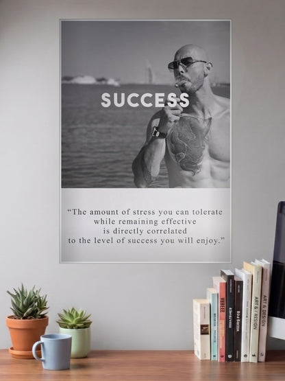Success Stress Quote Motivational Poster
