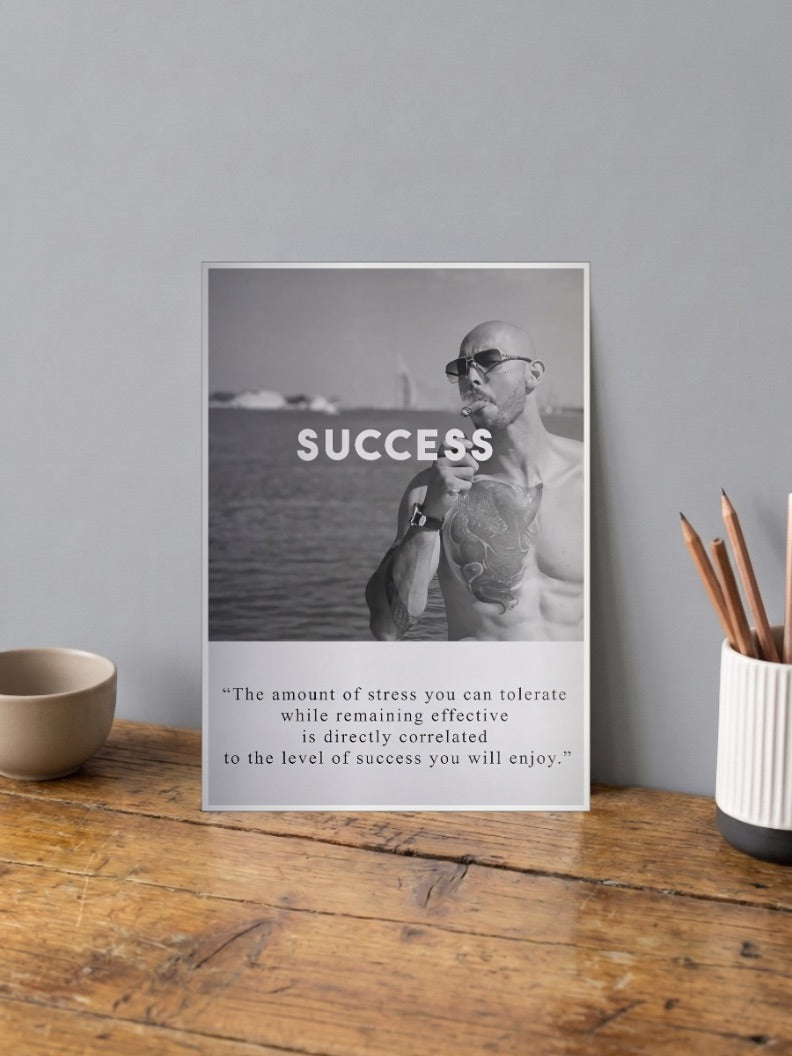 Success Stress Quote Motivational Poster