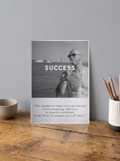 Success Stress Quote Motivational Poster